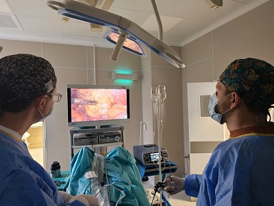 Эндоскопические стойки